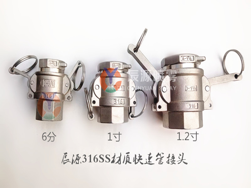 P80411-175619.jpg